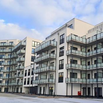 Vitanas Magdeburg Hamburg Team